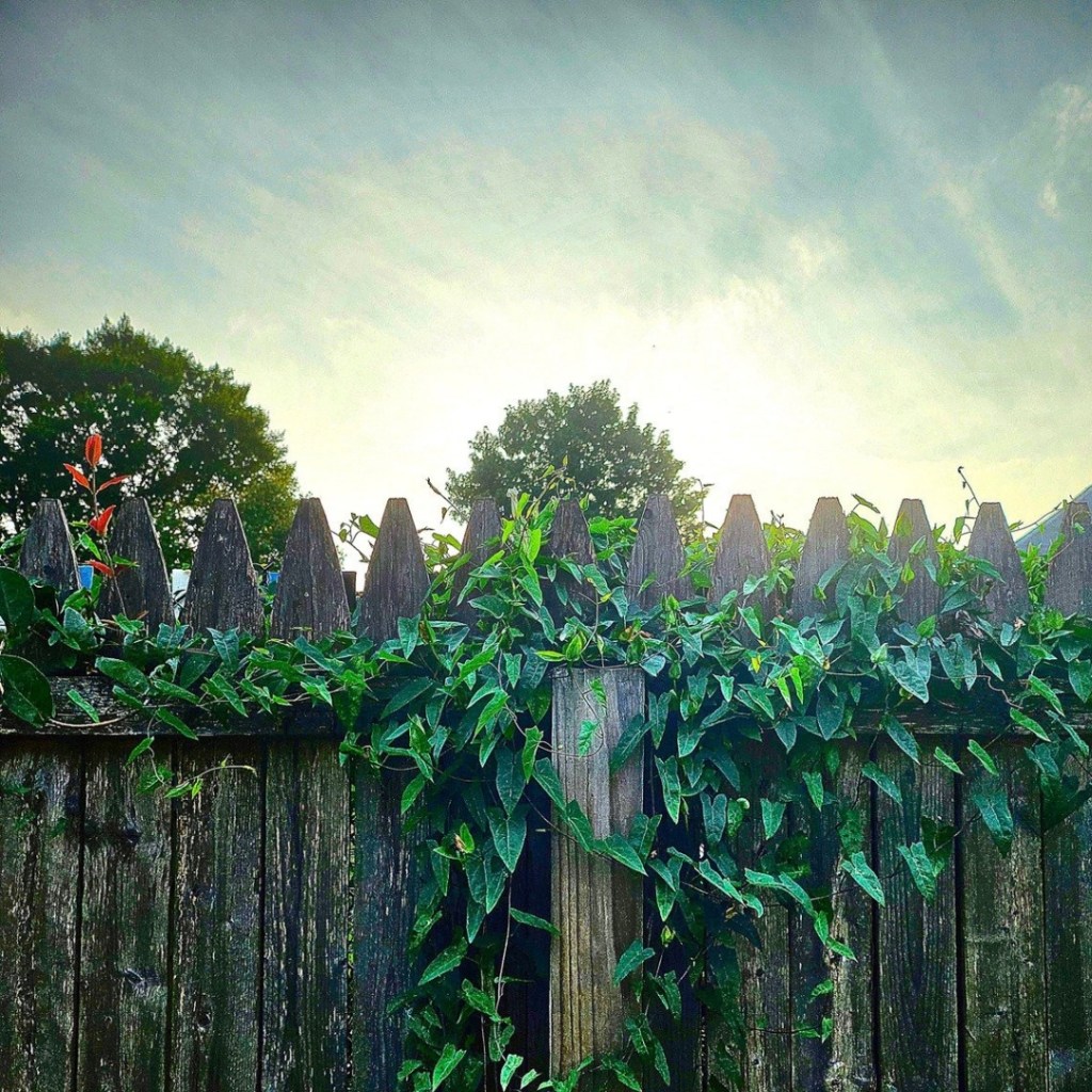 Mid-August Reflection